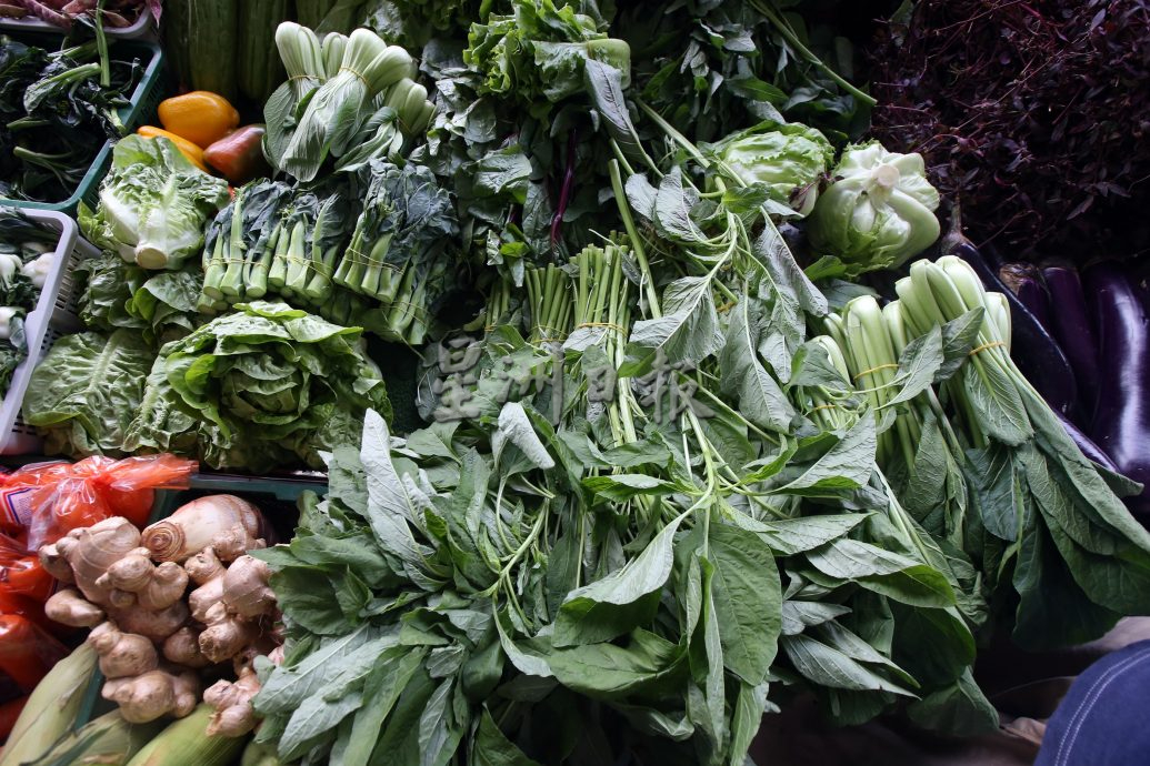 (早报头)大都会/街访蔬菜市场行情