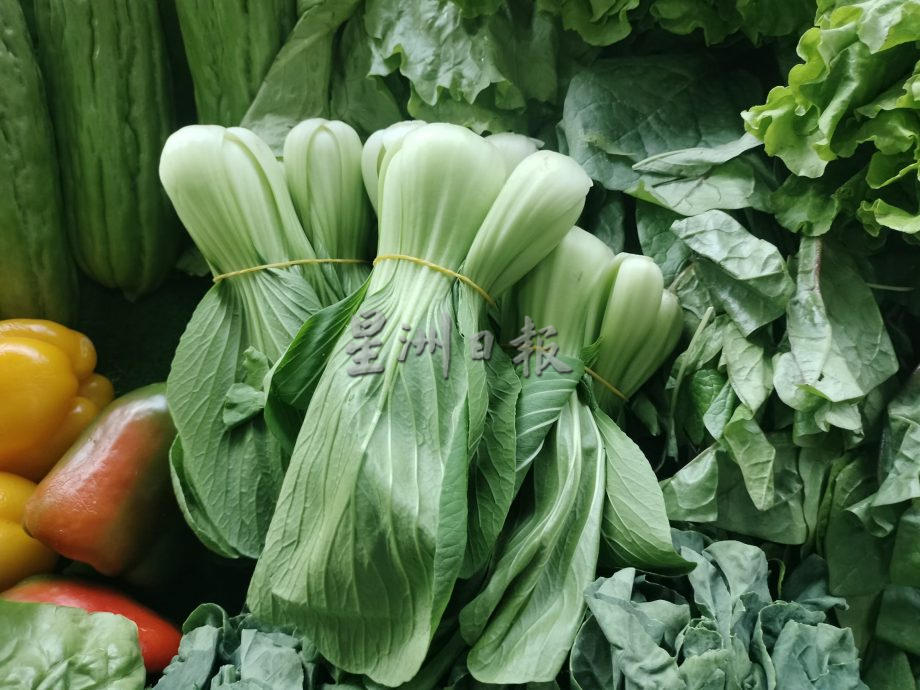 (早报头)大都会/街访蔬菜市场行情