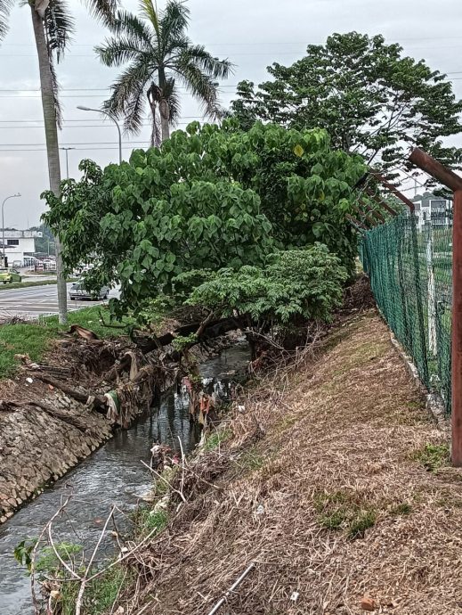 ns汝来:扩大治洪范围,汝来水患有望解决