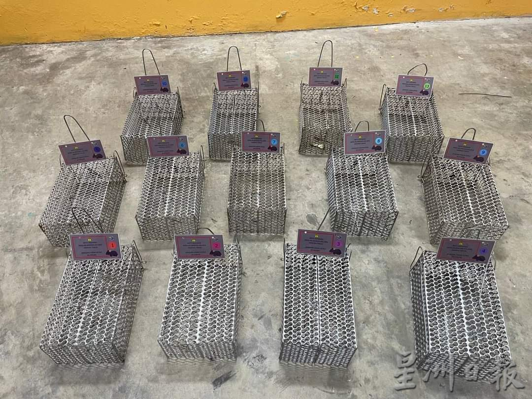 3个月捕749只 日均8只 怡中央公市灭鼠奏效