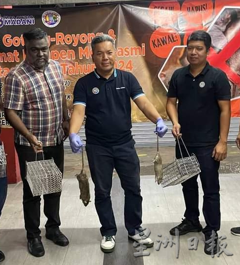 3个月捕749只 日均8只 怡中央公市灭鼠奏效