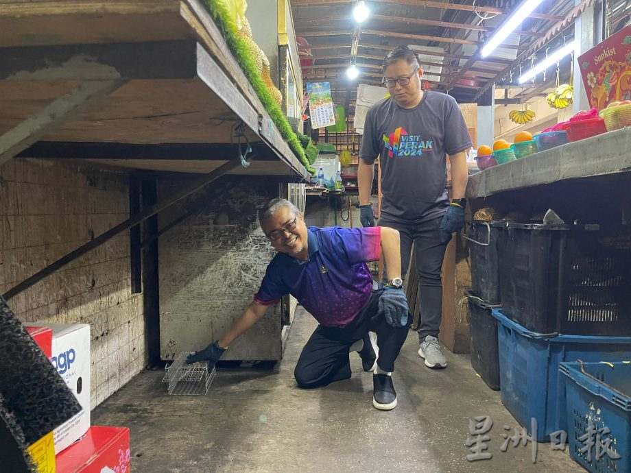 3个月捕749只 日均8只 怡中央公市灭鼠奏效