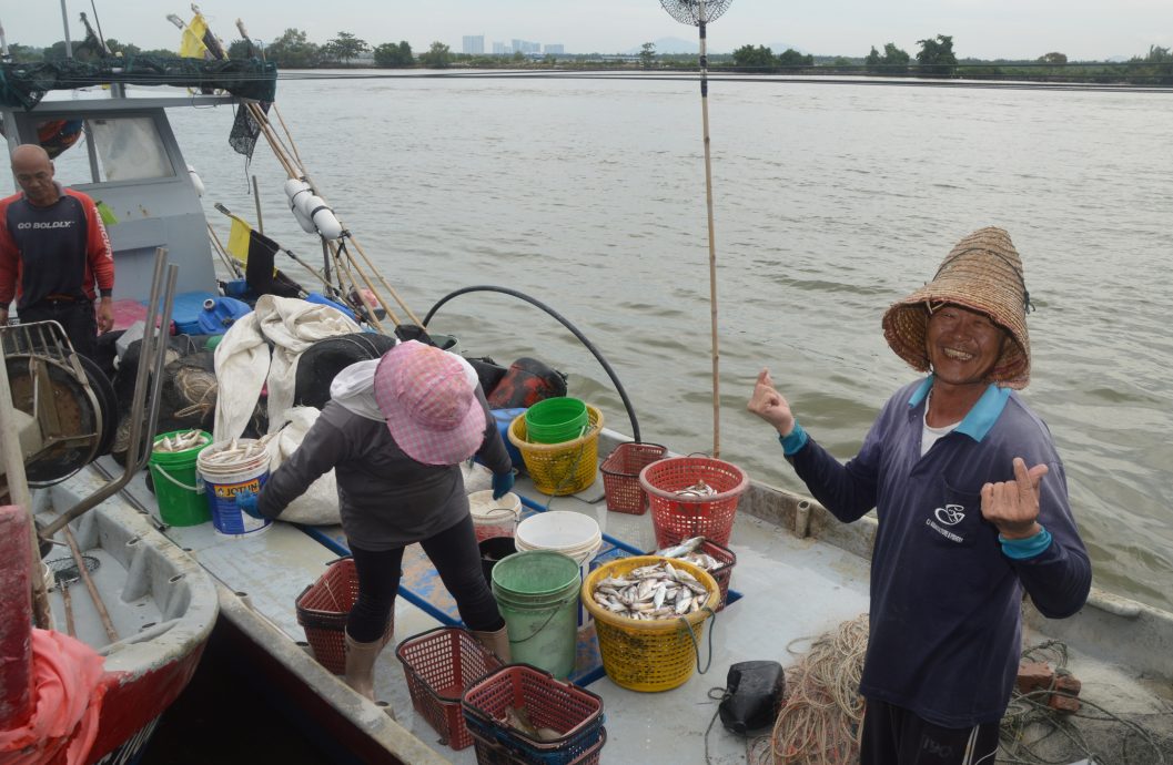 8月17日见报(大北马)星角摄-高渊港口渔获码头