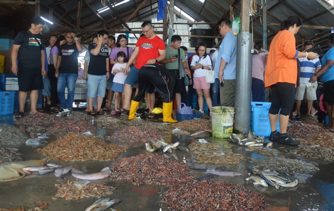 8月17日见报(大北马)星角摄-高渊港口渔获码头
