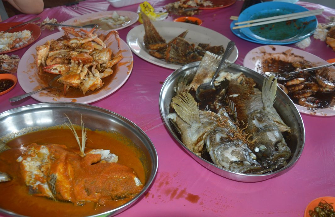 8月17日见报(大北马)星角摄-高渊港口渔获码头