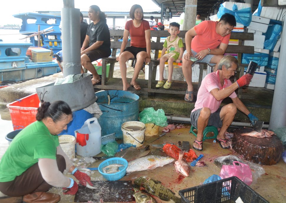 8月17日见报(大北马)星角摄-高渊港口渔获码头