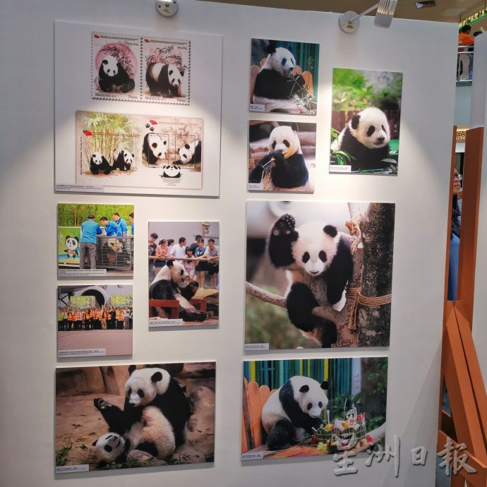 “繁花硕果:马中建交50周年”图片展 镜头下是无价之宝