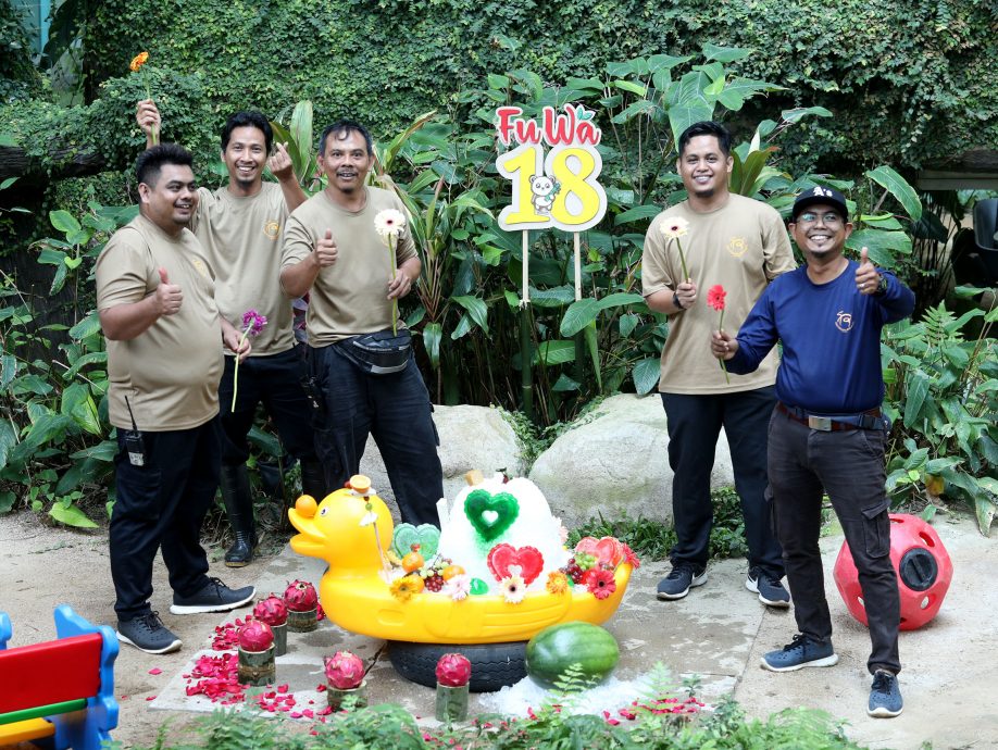 【完整】大熊猫生日:兴兴靓靓动物园办生日会