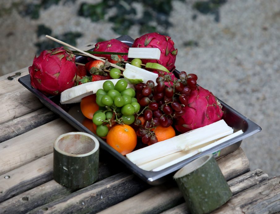 【完整】大熊猫生日:兴兴靓靓动物园办生日会