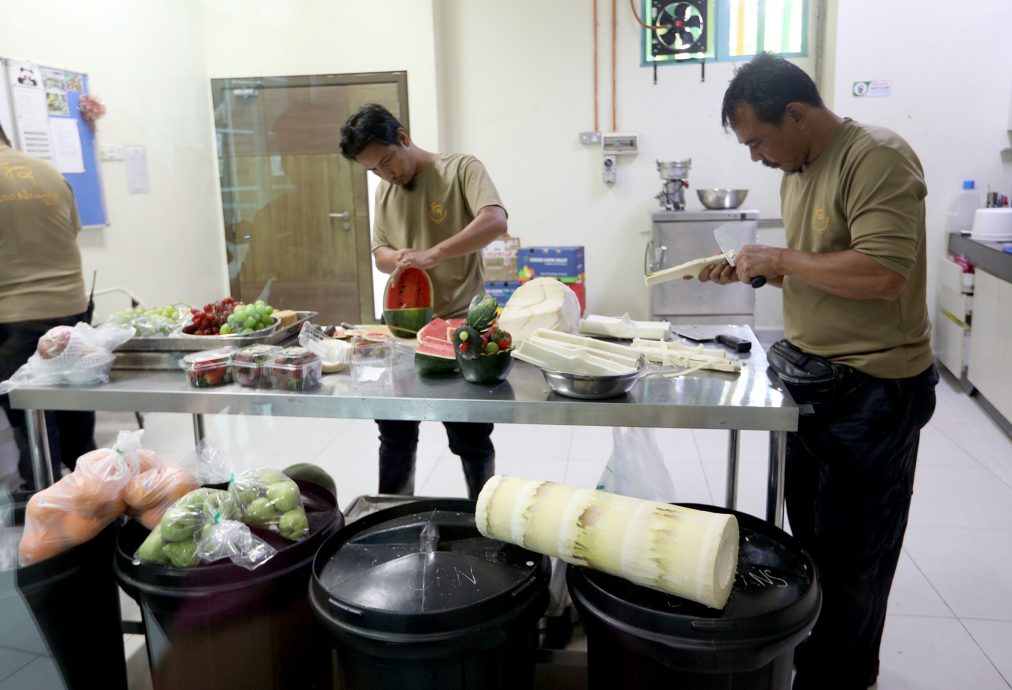 【完整】大熊猫生日:兴兴靓靓动物园办生日会