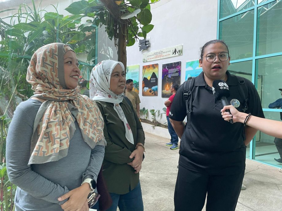 【完整】大熊猫生日:兴兴靓靓动物园办生日会