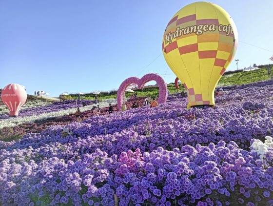 【泰国】走,到泰北的考柯避暑去!