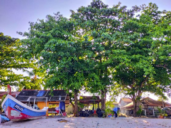 【马来西亚‧威省】模范甘榜──隐藏在喧嚣闹市中的世外桃源