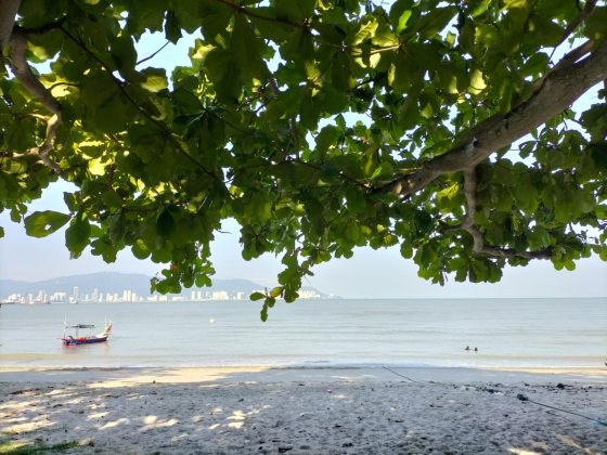 【马来西亚‧威省】模范甘榜──隐藏在喧嚣闹市中的世外桃源