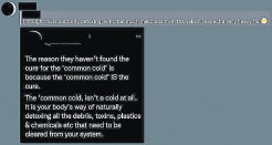 专家:属病毒感染 普通感冒非人体排毒