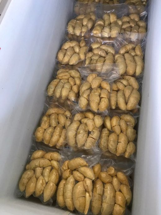 东2:冷冻柜需求量增加
