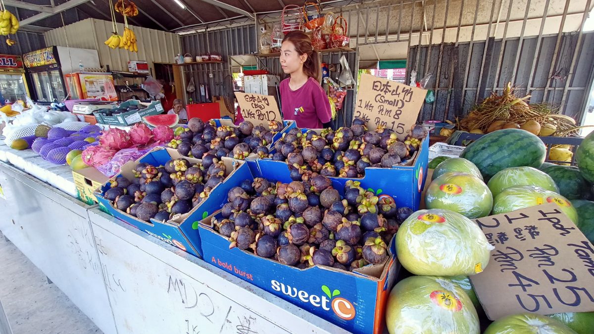 东：山竹正值上市高峰，市场价格大幅下滑。