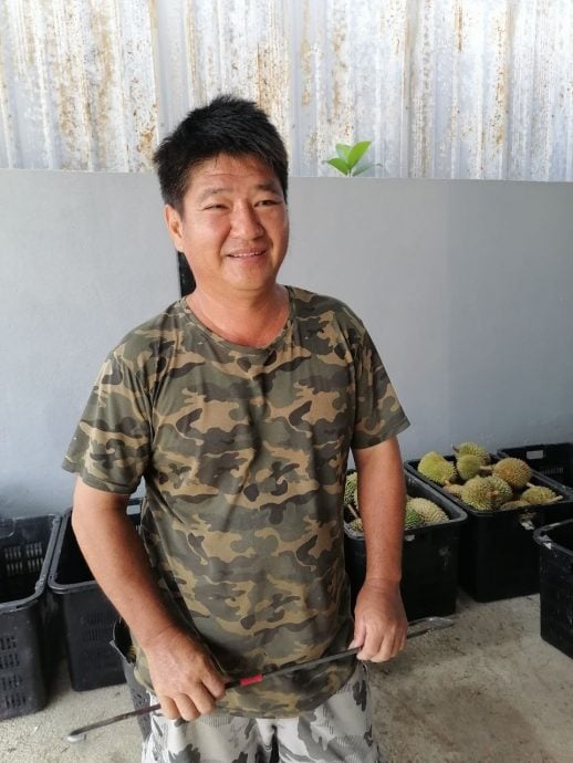 东:文积果农哀山竹