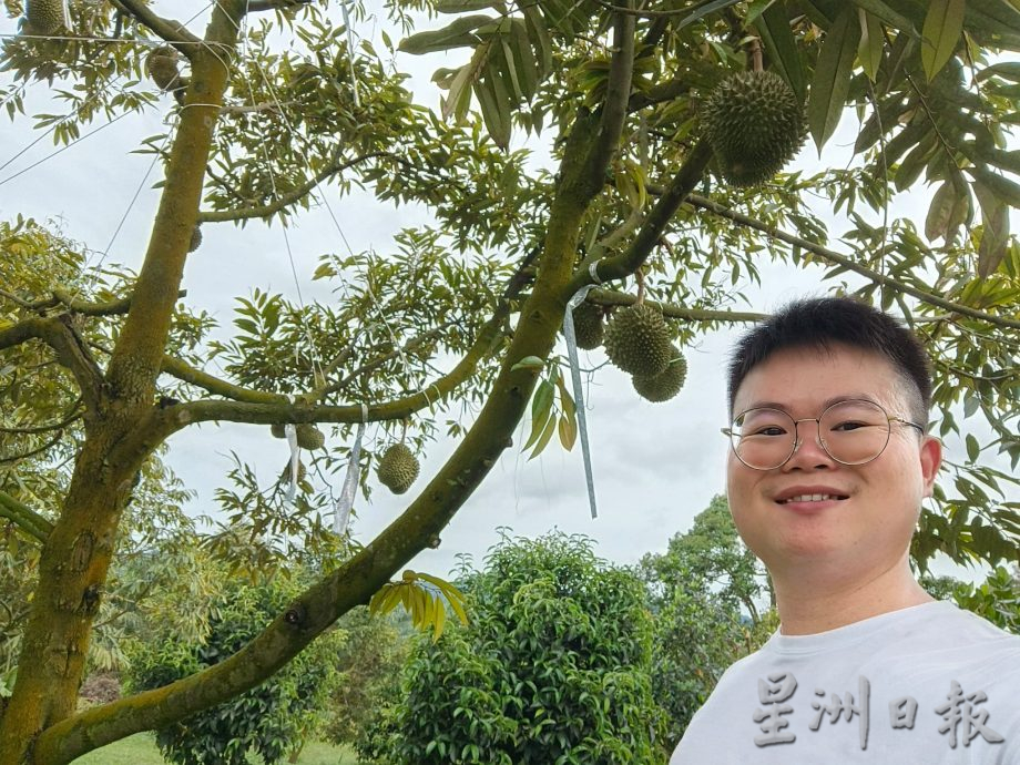 乐活频道:形态各异,色彩丰富,大家都爱多肉植物