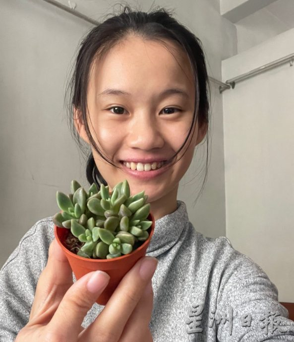 乐活频道:形态各异,色彩丰富,大家都爱多肉植物