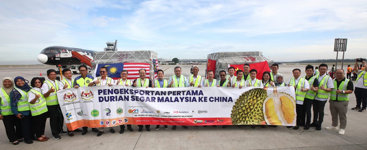 亚瑟古律:鲜食猫山王、黑刺、D24 、IOI今首发输华