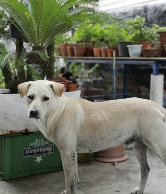 人生旅途，感恩有你，风雨陪伴！
