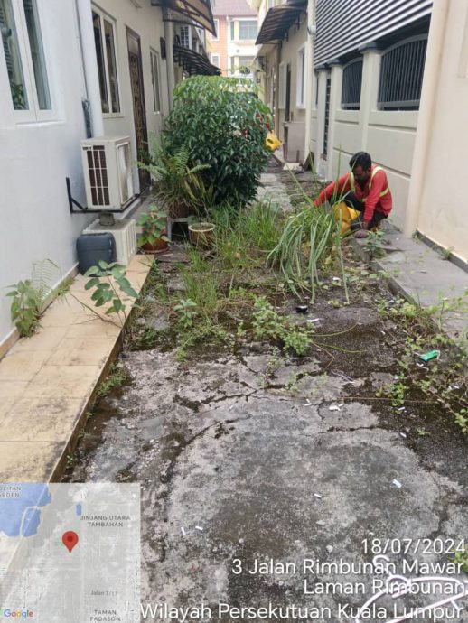 余保凭助反映 后巷杂草获清理