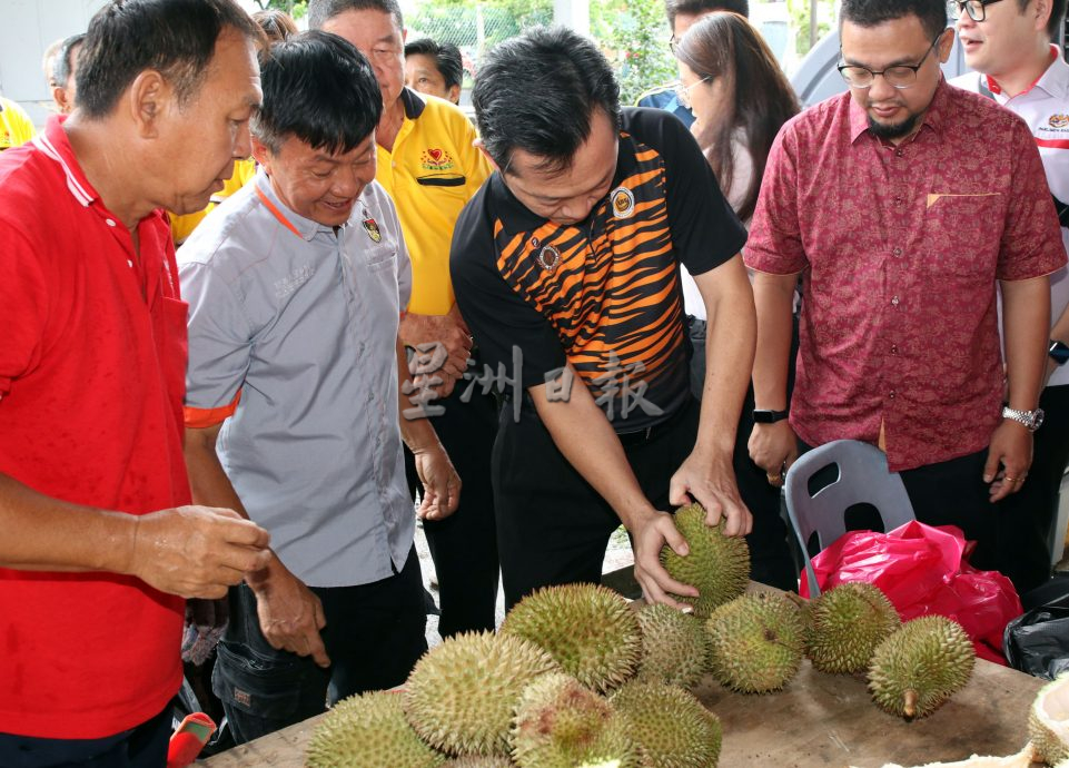 供星洲网/又吃又拿体验双倍快乐,芙拉务8哩新村榴梿大吃会反应超热