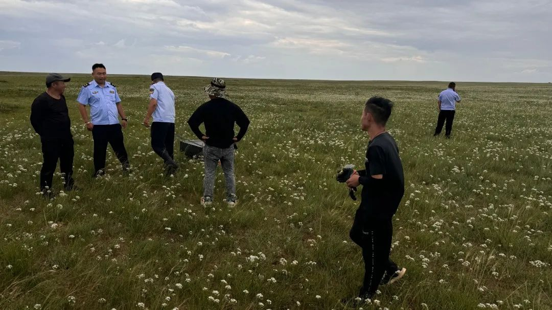 内蒙24人采摘沙葱韭菜花被查 当地官方:疑用工具大规模盈利性采摘