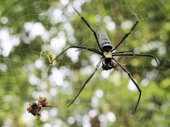 Fkwyq240818 01 Fz100254361121