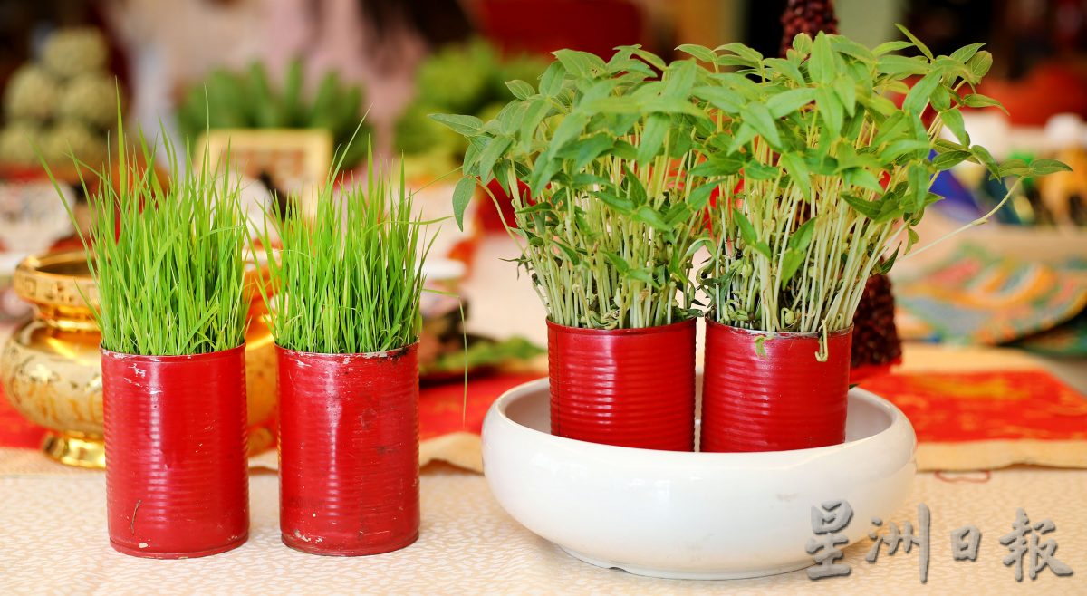 大妗哥朱运铨 传承拜七姐传统文化