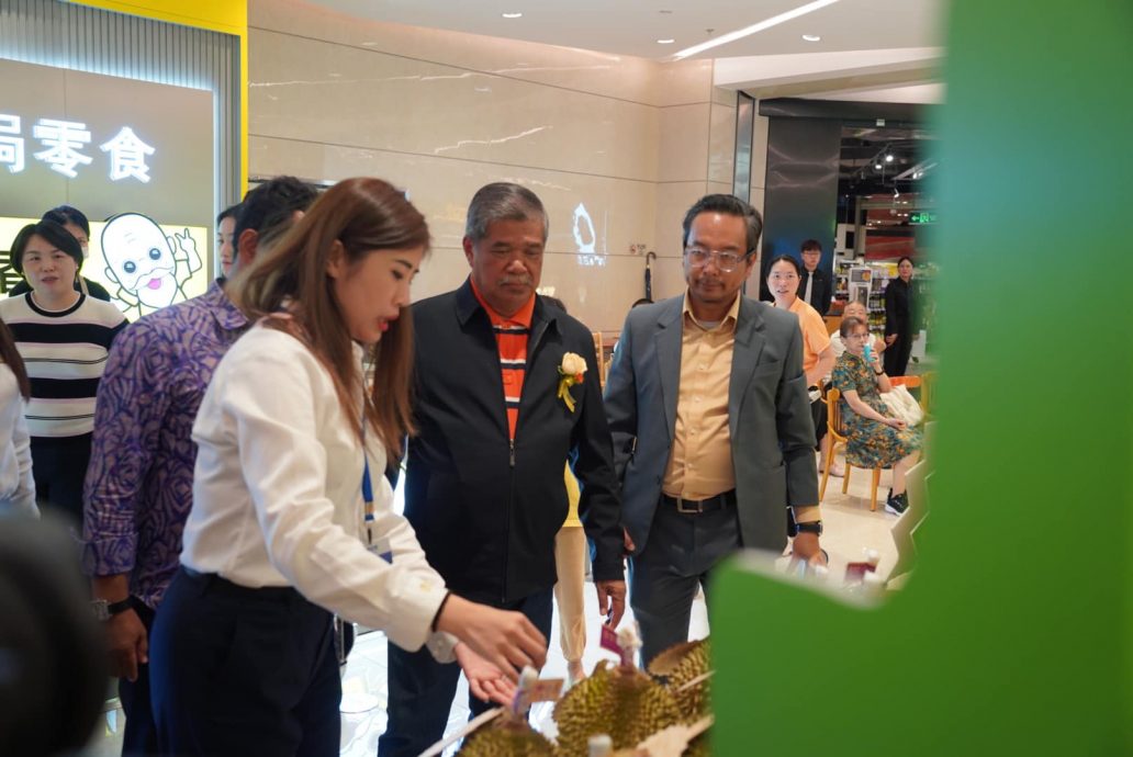 大马猫山王深圳热销 一粒猫山王RM350还秒扫