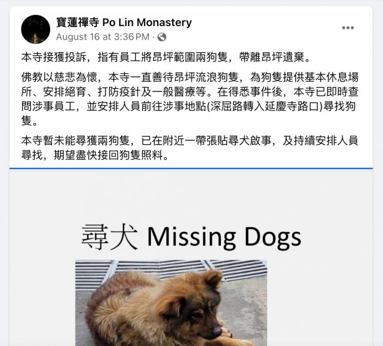 **已签即时国际**全国:尼龙袋装丢山区,港宝莲寺残酷弃狗厨师遭扣