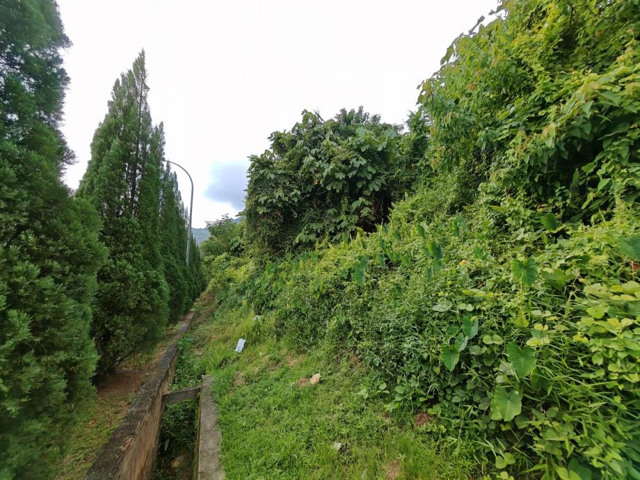 *已签发* 柔:峇龙华山庄南路防土石流,将增建挡土墙重修水沟