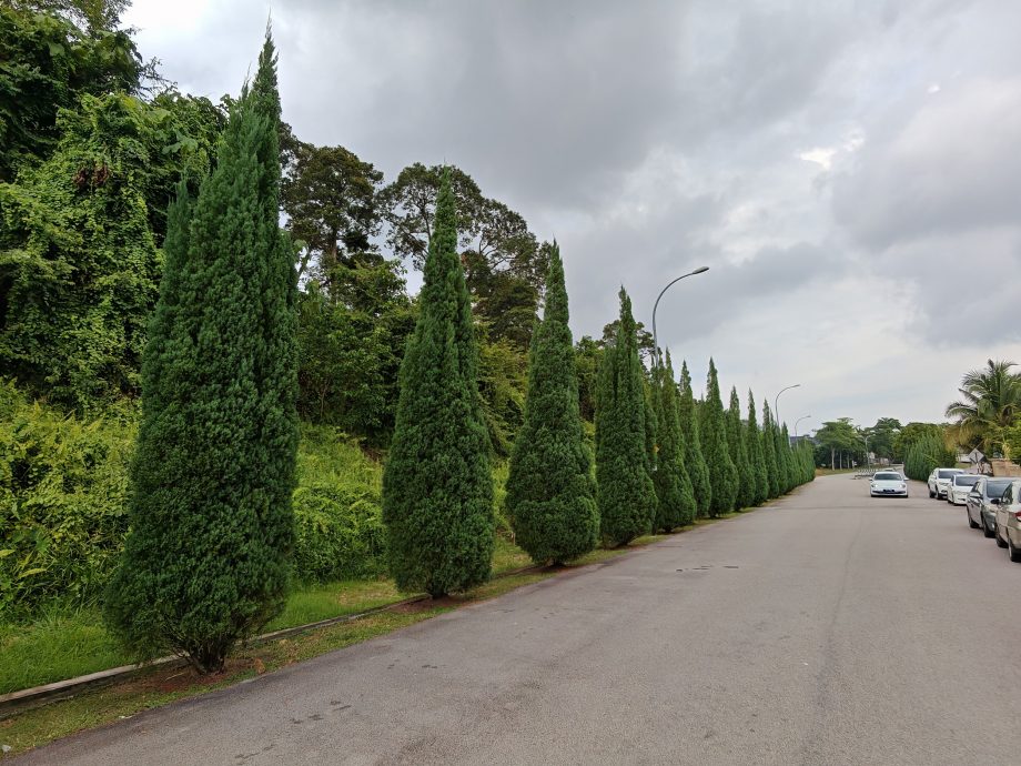 *已签发* 柔:峇龙华山庄南路防土石流,将增建挡土墙重修水沟