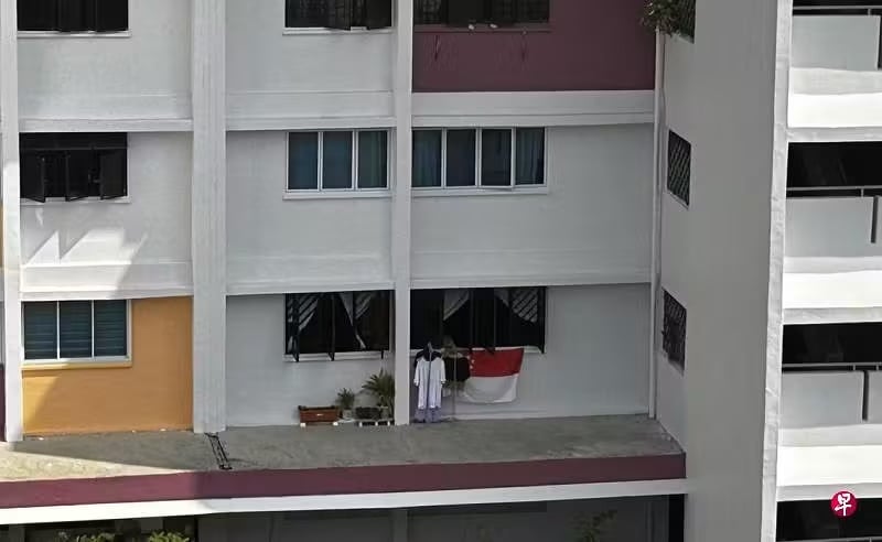 *已签发*柔:狮城二三事:狮城组屋窗外平台摆花盆 居民忧被风吹落砸伤人