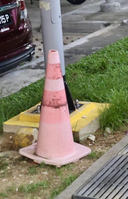 **已签发**柔:狮城二三事:阿叔申诉组屋区闹鼠患,走道上被鼠咬伤