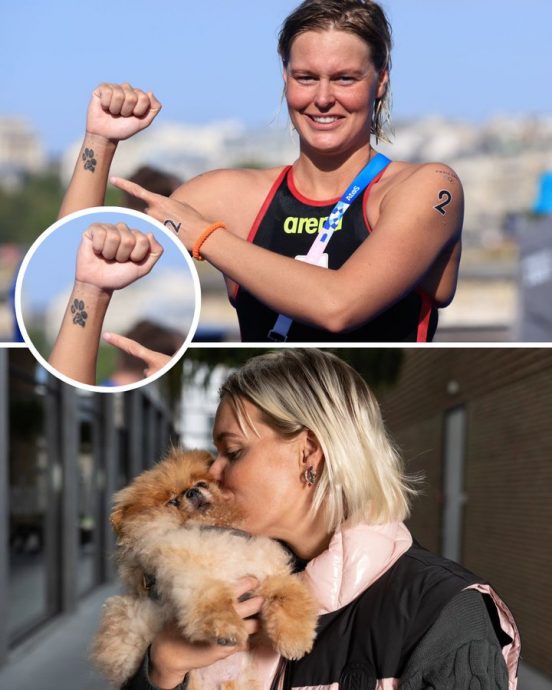 巴黎奥运会| 为离世爱犬而游 荷泳将用冠军献给它