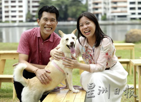 征集《全球爱宠故事》主角|携手宠物做善事,为救援动物筹款