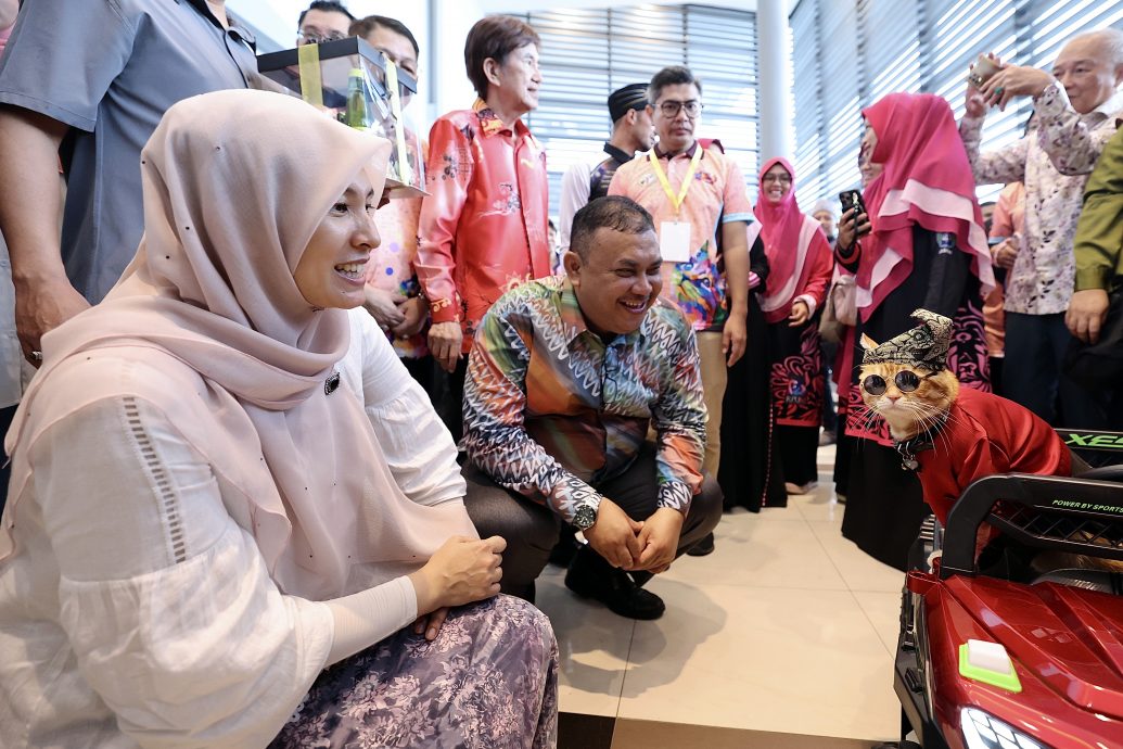 旺阿兹莎:走吧!昌明大马猫咪嘉年华成团结人民的平台