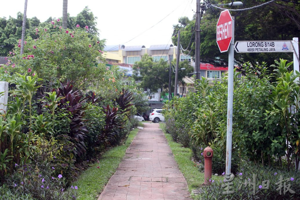 退休教师12年如一日打造社区花园