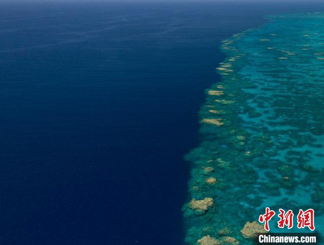 最新研究:澳洲大堡礁水温 过去10年为400年来最热