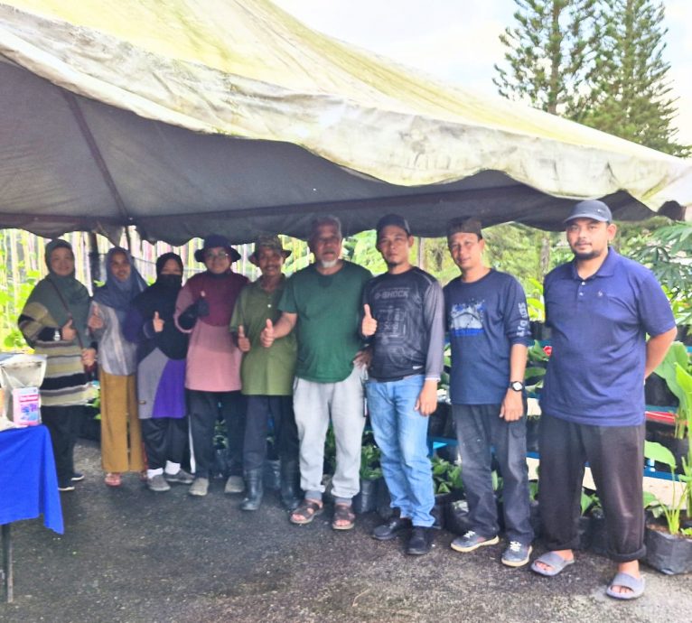 柔:封面:【特稿】长隆城睦邻计划鱼菜共生计划 协助社区妇女及退役军人掌握技能