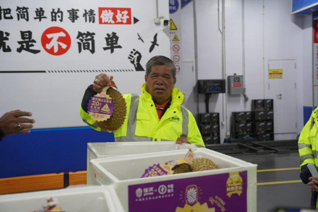 猫山王中国大卖! 农长:甘榜榴梿next