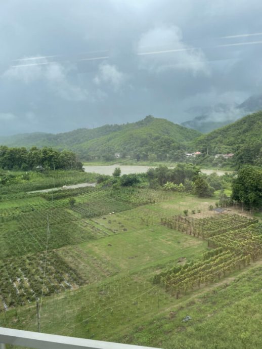 照片 3(必放) Fz100453334512