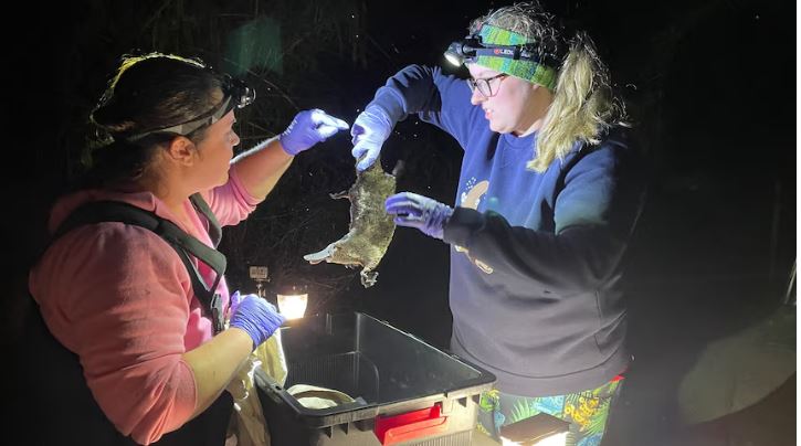 看世界 澳洲悉尼多地饮用水含低浓度致癌物
