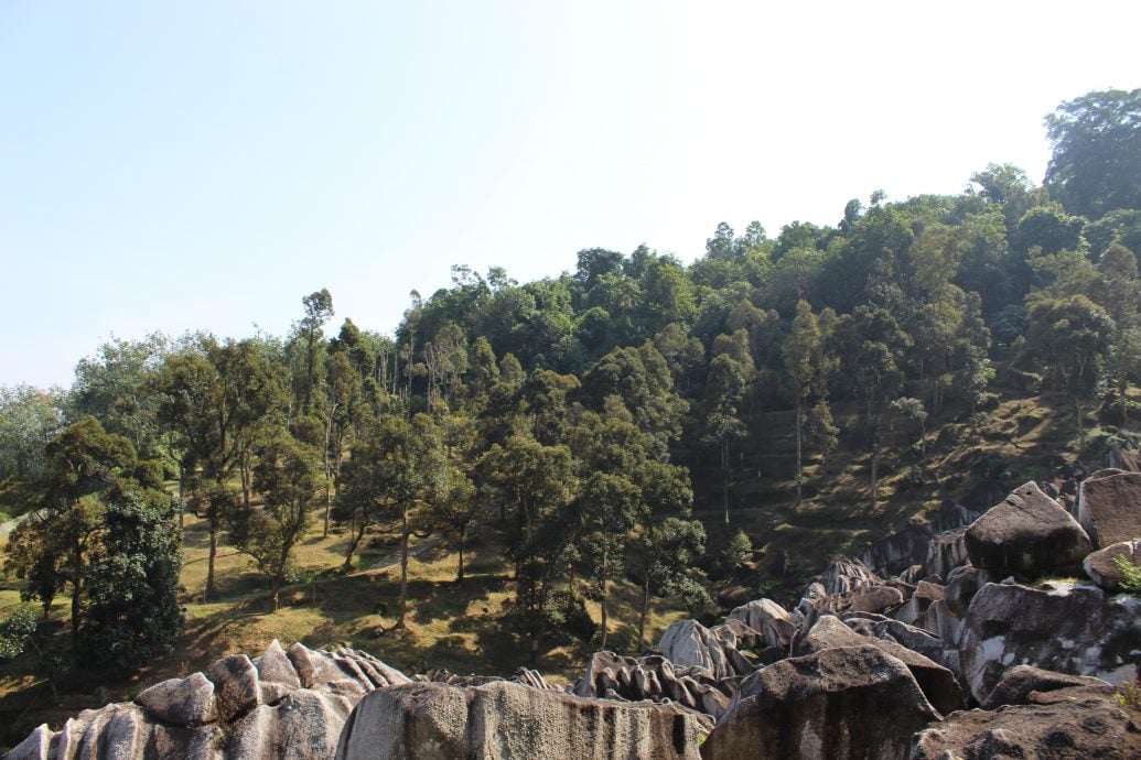 罗思义:金宝石林进行安全检测 民众勿闯石林 料年杪开放