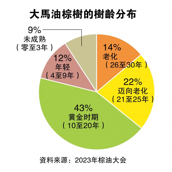 逆风围绕 获利趋跌 棕油业需多元化业务