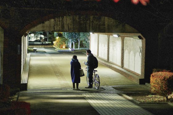 陈头头／《All the Long Nights》暗夜与晨光会平等出现在每一天	