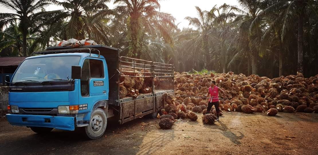 霹11万外劳分布7领域 孟尼印缅前四占八成